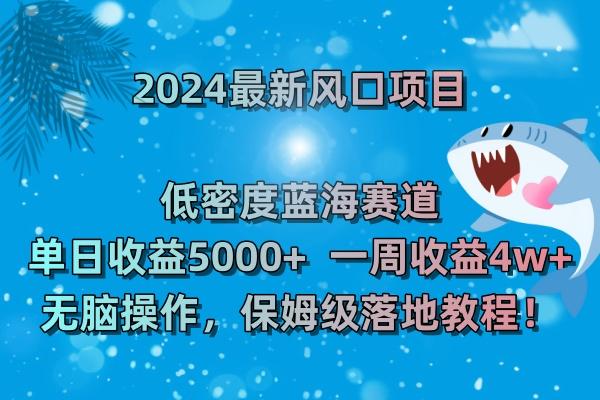 (8545期)2024最新风口项目 低密度蓝海赛道，日收益5000+周收益4w+ 无脑操作，保...