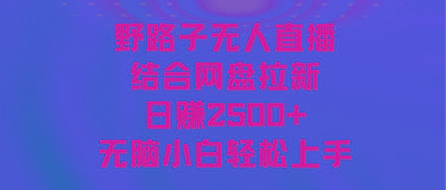 无人直播野路子结合网盘拉新，日赚2500+多平台变现，小白无脑轻松上手操作
