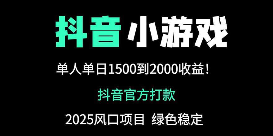 抖音官方小游戏2025全网最新玩法，暴利赚钱项目，单机日入2000+