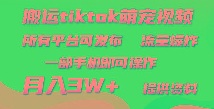 (9618期)搬运Tiktok萌宠类视频，一部手机即可。所有短视频平台均可操作，月入3W+