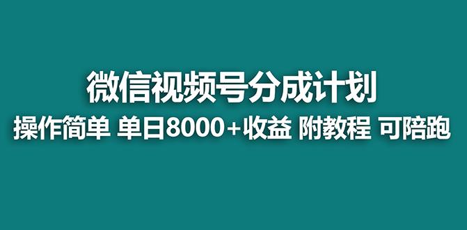【蓝海项目】视频号分成计划最新玩法，单天收益8000+，附玩法教程，24年...