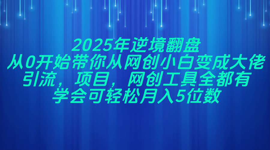 2025年逆境翻盘，从0开始带你从网创小白变成大佬，引流，项目，网创工...