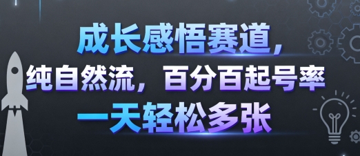 成长感悟赛道,纯自然流,百分百起号率 一天轻松多张