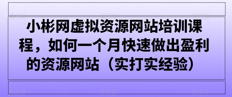 小彬网虚拟资源网站培训课程，如何一个月快速做出盈利的资源网站(实打实经验)