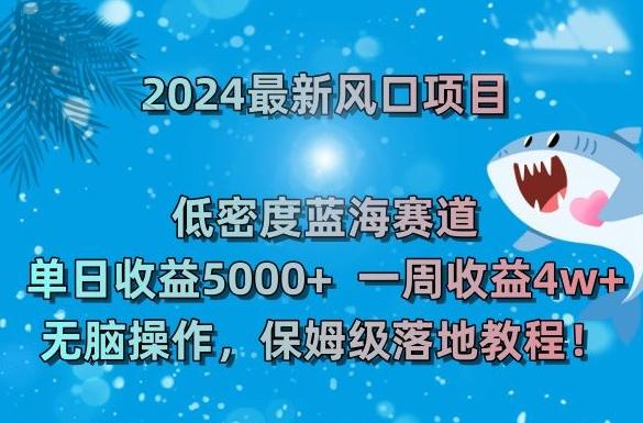 2024最新风口项目,低密度蓝海赛道,单日收益5000+,一周收益4w+!【揭秘】