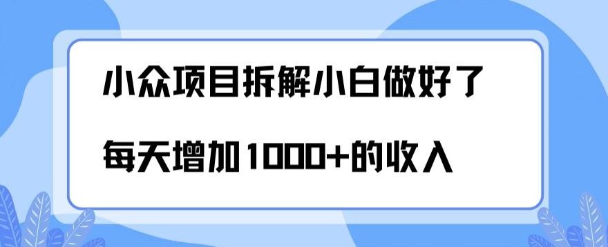 小众项目拆解,小白做好了每天可增加1000多的收入
