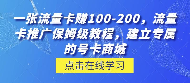 一张流量卡赚100-200，流量卡推广保姆级教程，建立专属的号卡商城