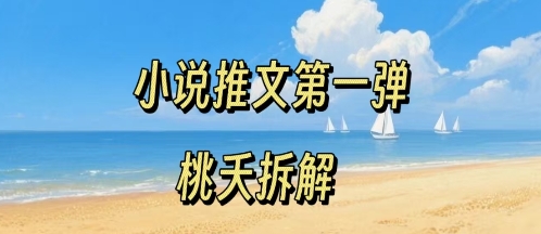 小说推文项目操作全流程第一弹,0粉就能做,门槛低非常适合新手