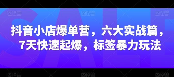抖音小店爆单营,六大实战篇,7天快速起爆,标签暴力玩法