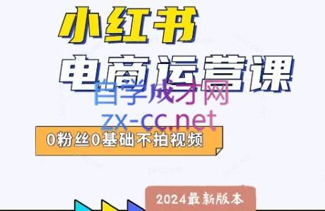 达哥·小红书电商运营(2024版)