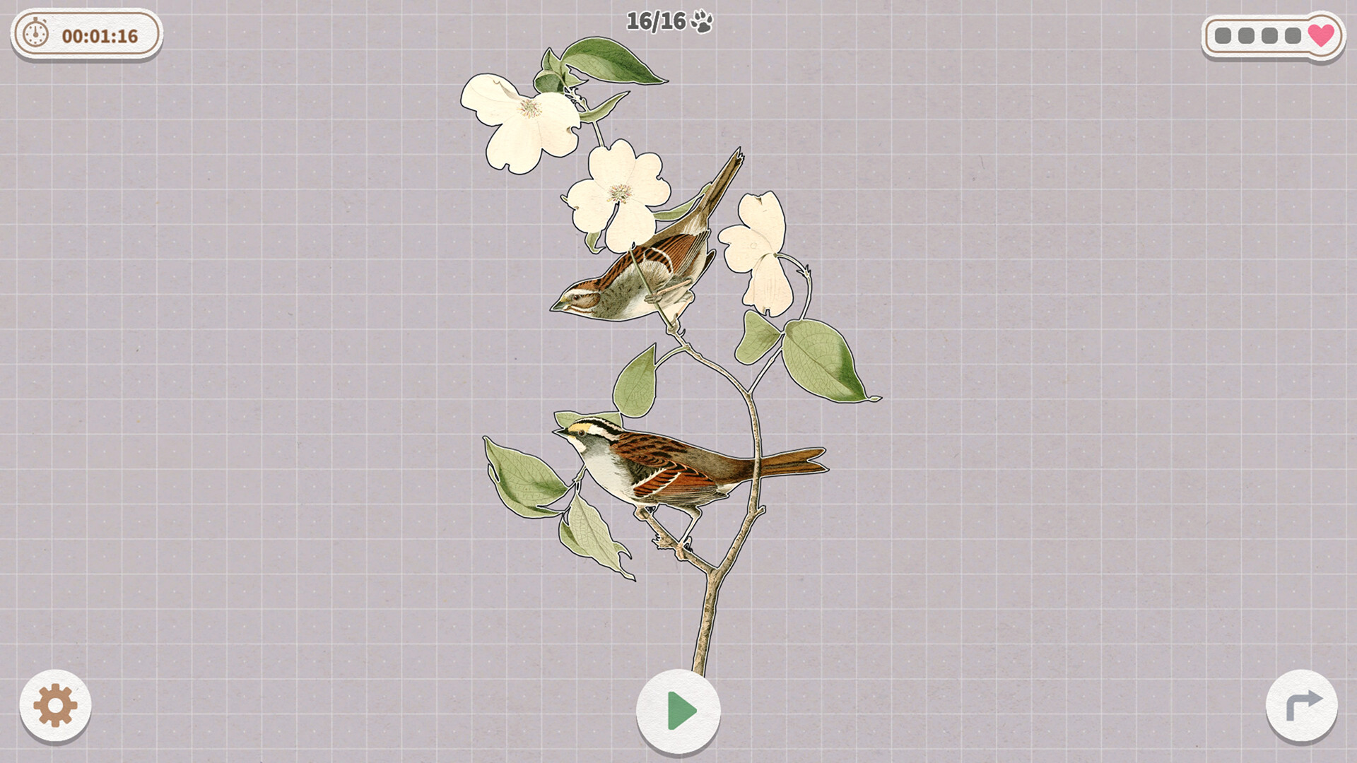 《挤在一起的鸟鸟/Birds Huddled Together》PC中文版下载-含Build.14298719