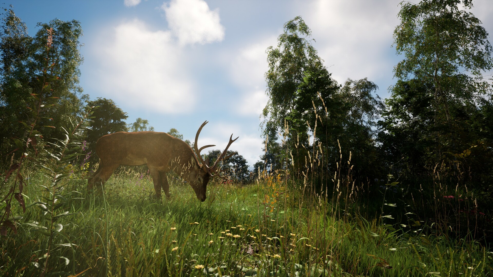 《恐惧地带/DREADZONE》PC中文版下载-含v1.5.5.1