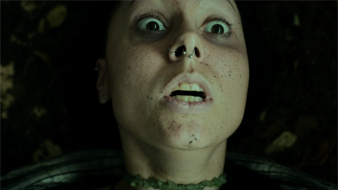 【美版】幽林深处 .Heart of the Forest 英语插图(5)