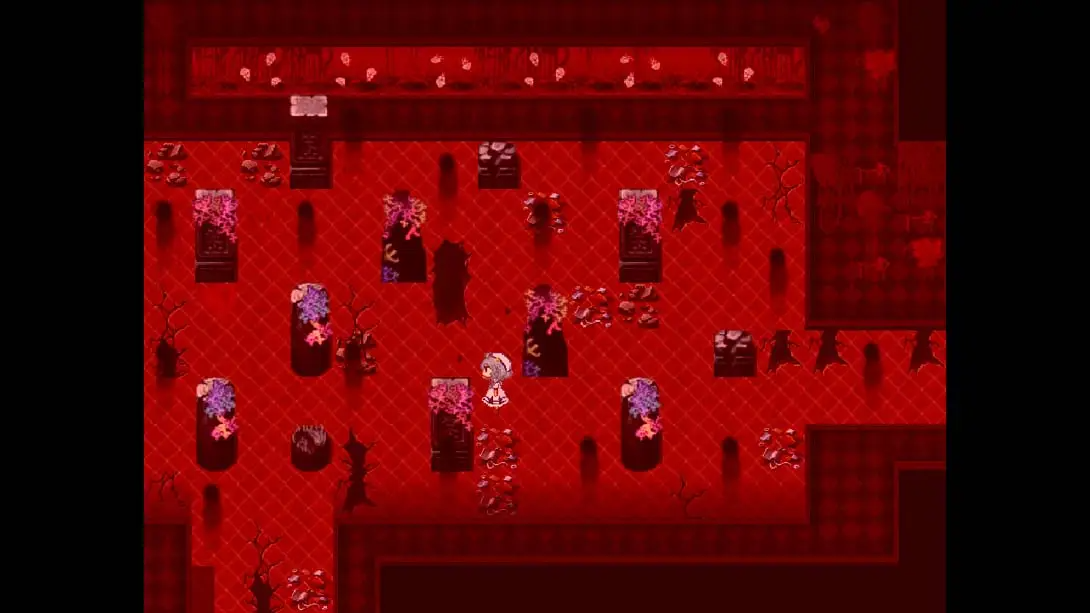 【美版】水族馆不跳舞 .The Aquarium does not dance 中文插图(5)