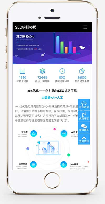 (自适应移动端)大气的IT网络软件公司网站源码 seo快排网站pbootcms模板