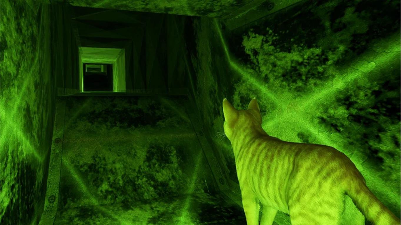【美版】小猫大营救2 .Little Strays 2 中文插图(4)