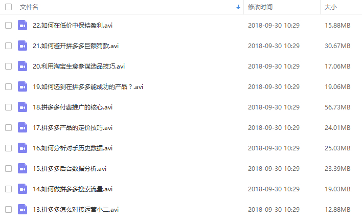 拼多多运营学习讲座火爆运营开店教程(共22课)