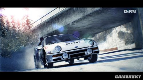 尘埃3/DiRT 3 12 游民星空