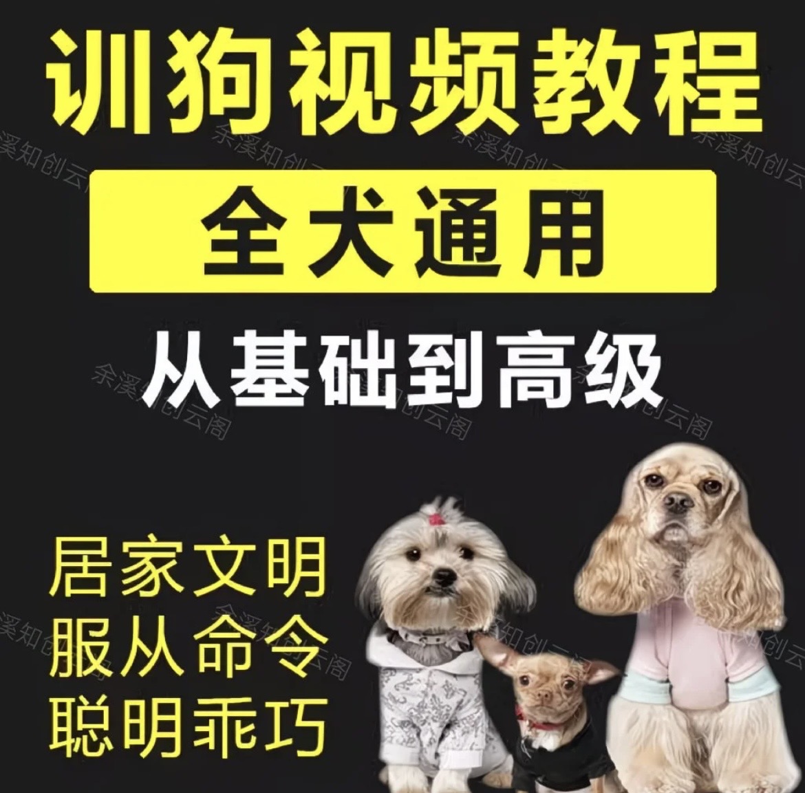 养了3年狗,花了6000块送去训狗学校,不如这套视频教程管用(全犬通用)